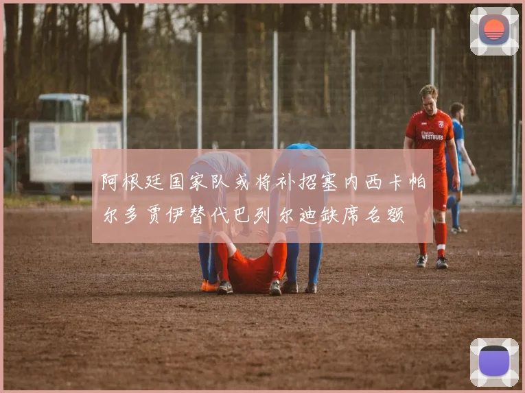 阿根廷国家队或将补招塞内西卡帕尔多贾伊替代巴列尔迪缺席名额